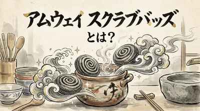 アムウェイ スクラブバッズとは？