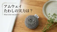 アムウェイ たわしの実力は？